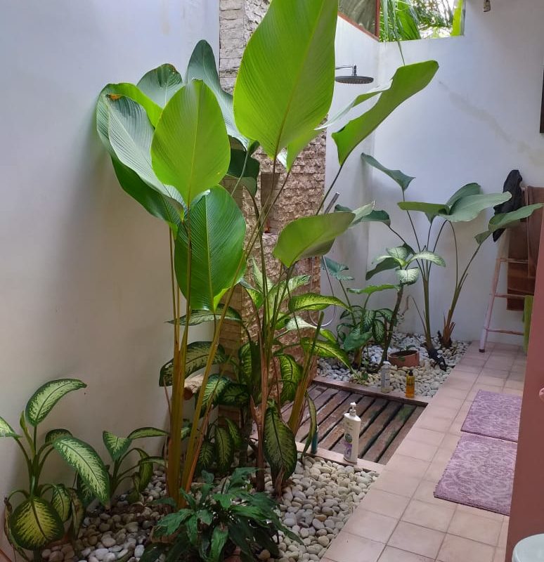 Villa 4 Chambres, Ungasan